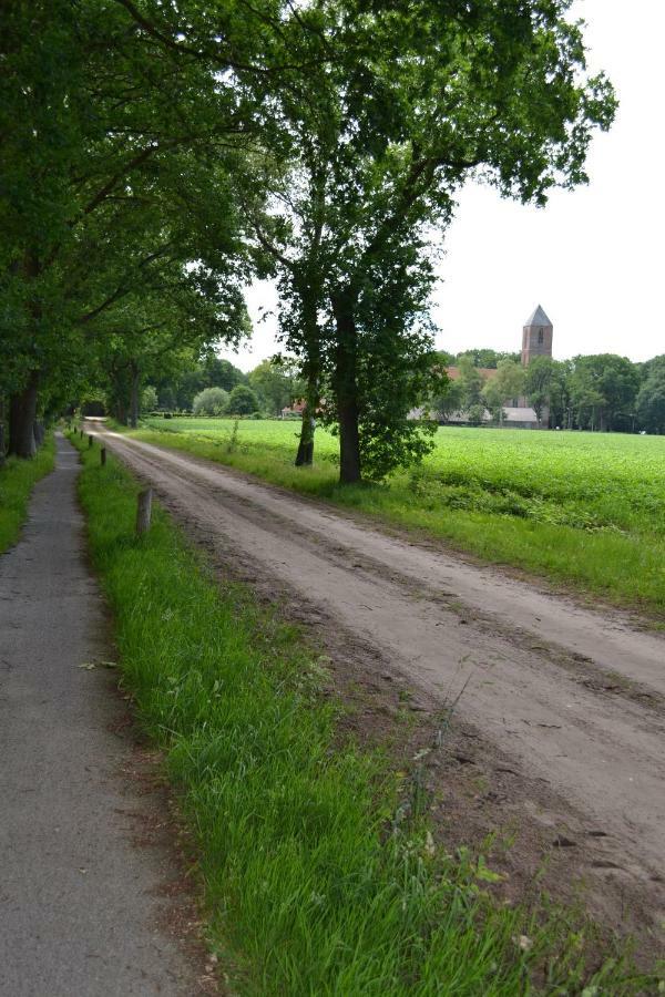 Mooi Nieuw Houten Huisje Havelte ภายนอก รูปภาพ